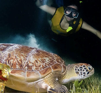 SNORKELING NOCTURNO 